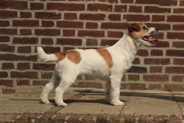 Hilke Of Cathy’s Cottage