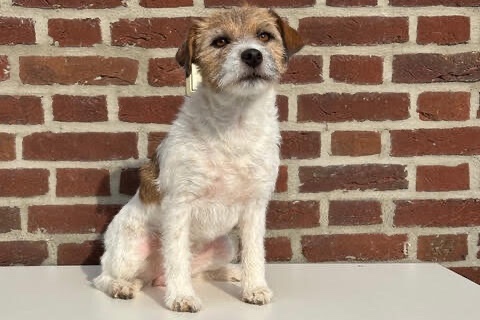 Skipper of Cathy’s Cottage